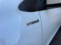 Toyota Yaris Yaris Hybrid Active 75cv Bianco - thumbnail 22