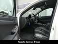 Porsche Macan III, PANO, 14-WEGE, PDLS+, PRIVACY, TEMPO Wit - thumbnail 19