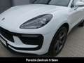 Porsche Macan III, PANO, 14-WEGE, PDLS+, PRIVACY, TEMPO Wit - thumbnail 8