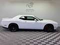 Dodge Challenger SRT 392 6.4 V8 Hemi|1.Hand|Unfallfrei Blanc - thumbnail 4
