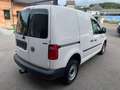 Volkswagen Caddy Kasten 4-Motion,Mwst.Ausweisbar,Pickerl+Service Neu Weiß - thumbnail 6