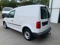 Volkswagen Caddy Kasten 4-Motion,Mwst.Ausweisbar,Pickerl+Service Neu Weiß - thumbnail 7
