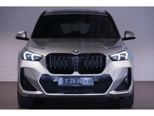 BMW X1 view 2