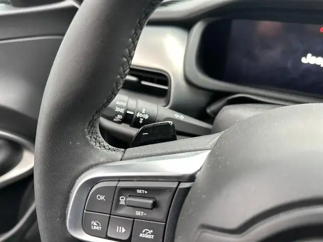 Jeep Avenger view 20