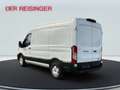 Ford Transit Kasten 350 L2 Trend LAGERABVERKAUF Weiß - thumbnail 4