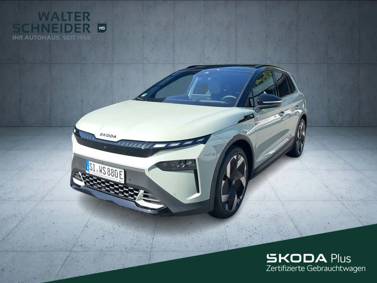 Skoda 85 First Edition Verde - 1