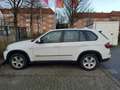 BMW X5 X5 xDrive30d Weiß - thumbnail 6