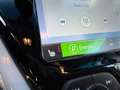 Opel Ampera-E Business executive 60 kWh*100%SOH* Grau - thumbnail 21