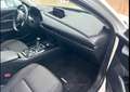 Mazda CX-30 CX-30 2.0 m-hybrid Evolve 2wd 122cv 6mt - GP709WX Blanc - thumbnail 4