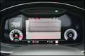 Audi SQ8 4.0 TFSI quattro PANO / NAVI / RECARO Rot - thumbnail 19