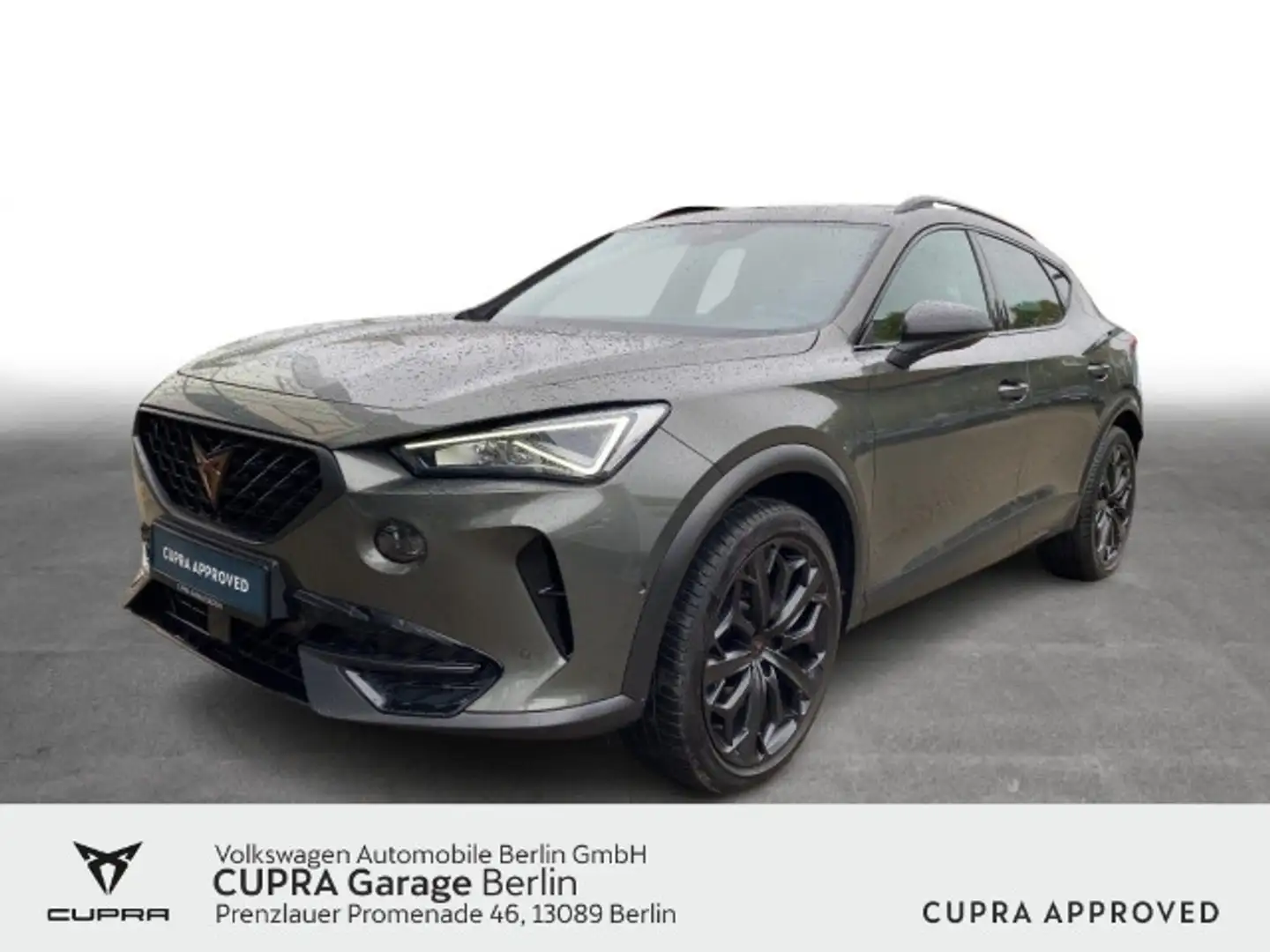 CUPRA Formentor 2.0 TSI DSG VZ Tribe Edition Pano Navi Grau - 1
