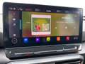 CUPRA Formentor 2.0 TSI DSG VZ Tribe Edition Pano Navi Grau - thumbnail 13