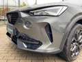 CUPRA Formentor 2.0 TSI DSG VZ Tribe Edition Pano Navi Grau - thumbnail 16