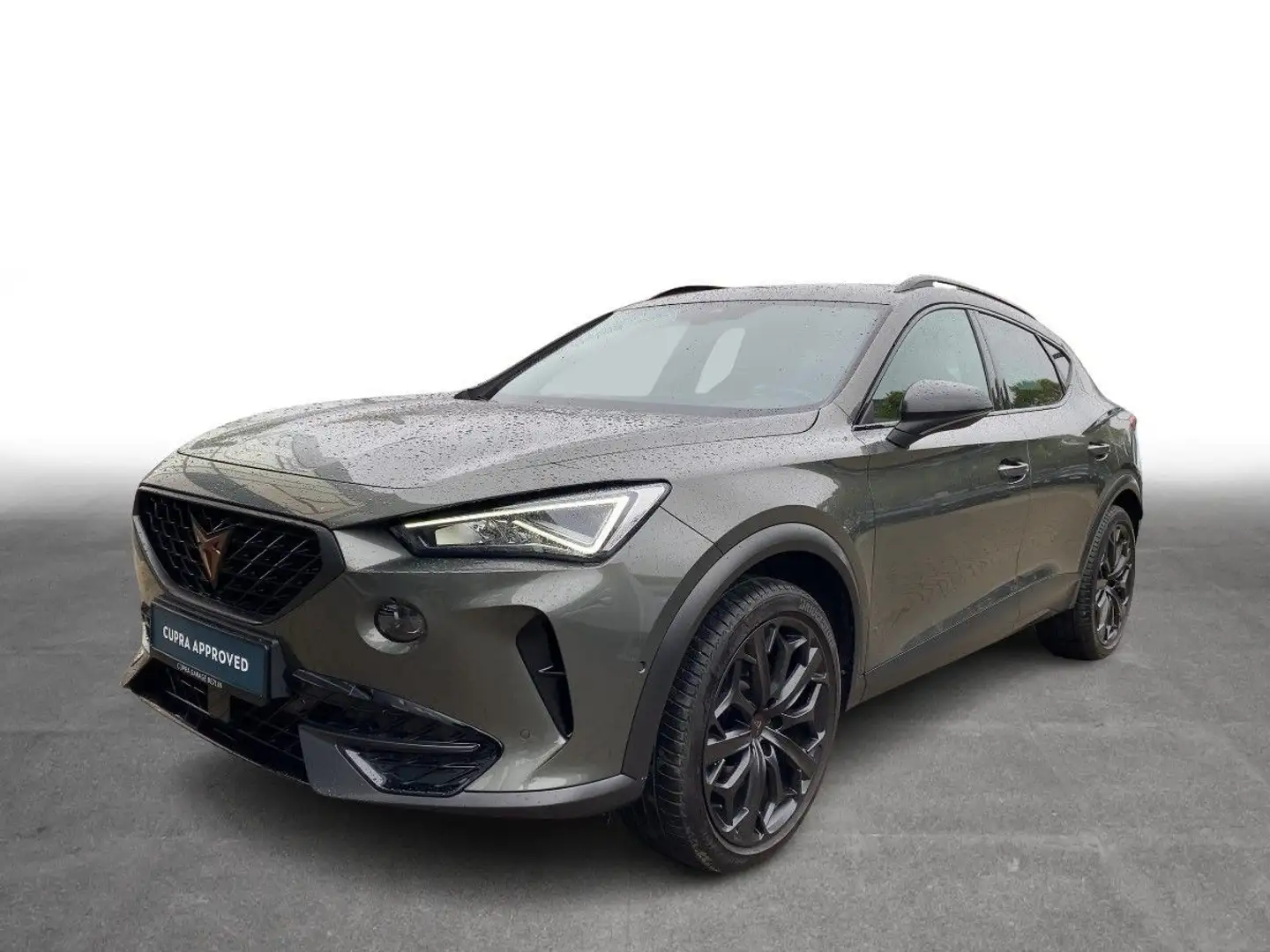 CUPRA Formentor 2.0 TSI DSG VZ Tribe Edition Pano Navi Grau - 2