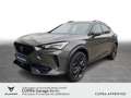 CUPRA Formentor 2.0 TSI DSG VZ Tribe Edition Pano Navi Grau - thumbnail 1