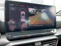 CUPRA Formentor 2.0 TSI DSG VZ Tribe Edition Pano Navi Grau - thumbnail 18