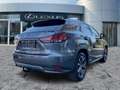 Lexus RX 450h F-Sport Pano*AHK*HUD*Navi*4xSHZ*KAM Grau - thumbnail 7