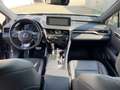Lexus RX 450h F-Sport Pano*AHK*HUD*Navi*4xSHZ*KAM Grau - thumbnail 12