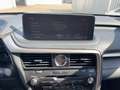 Lexus RX 450h F-Sport Pano*AHK*HUD*Navi*4xSHZ*KAM Grau - thumbnail 15