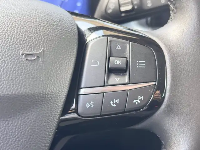 Ford Focus view 20
