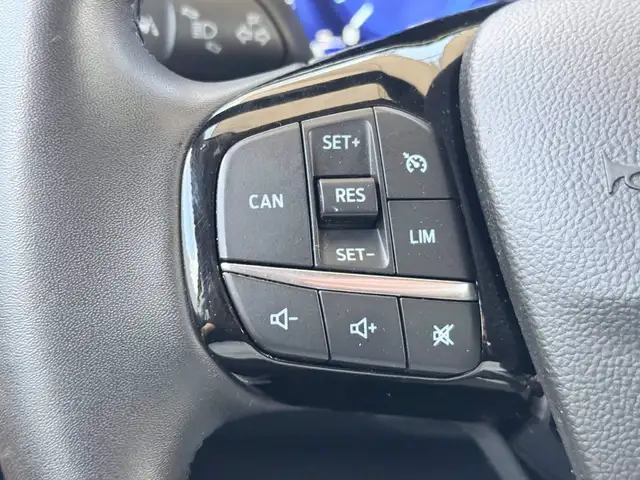 Ford Focus view 19