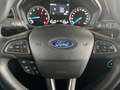 Ford EcoSport 1.0 EcoB ACTIVE *B&O*Navi*CarPlay*SHZ* Silber - thumbnail 14