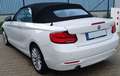 BMW 218 Cabrio 218 i Advantage, Leder, Harman-Kardon, LED, Blanco - thumbnail 8