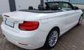 BMW 218 Cabrio 218 i Advantage, Leder, Harman-Kardon, LED, Blanco - thumbnail 3