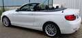 BMW 218 Cabrio 218 i Advantage, Leder, Harman-Kardon, LED, Blanco - thumbnail 2