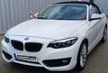 BMW 218 Cabrio 218 i Advantage, Leder, Harman-Kardon, LED, Blanco - thumbnail 10