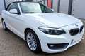 BMW 218 Cabrio 218 i Advantage, Leder, Harman-Kardon, LED, Blanco - thumbnail 11