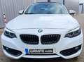 BMW 218 Cabrio 218 i Advantage, Leder, Harman-Kardon, LED, Blanco - thumbnail 9