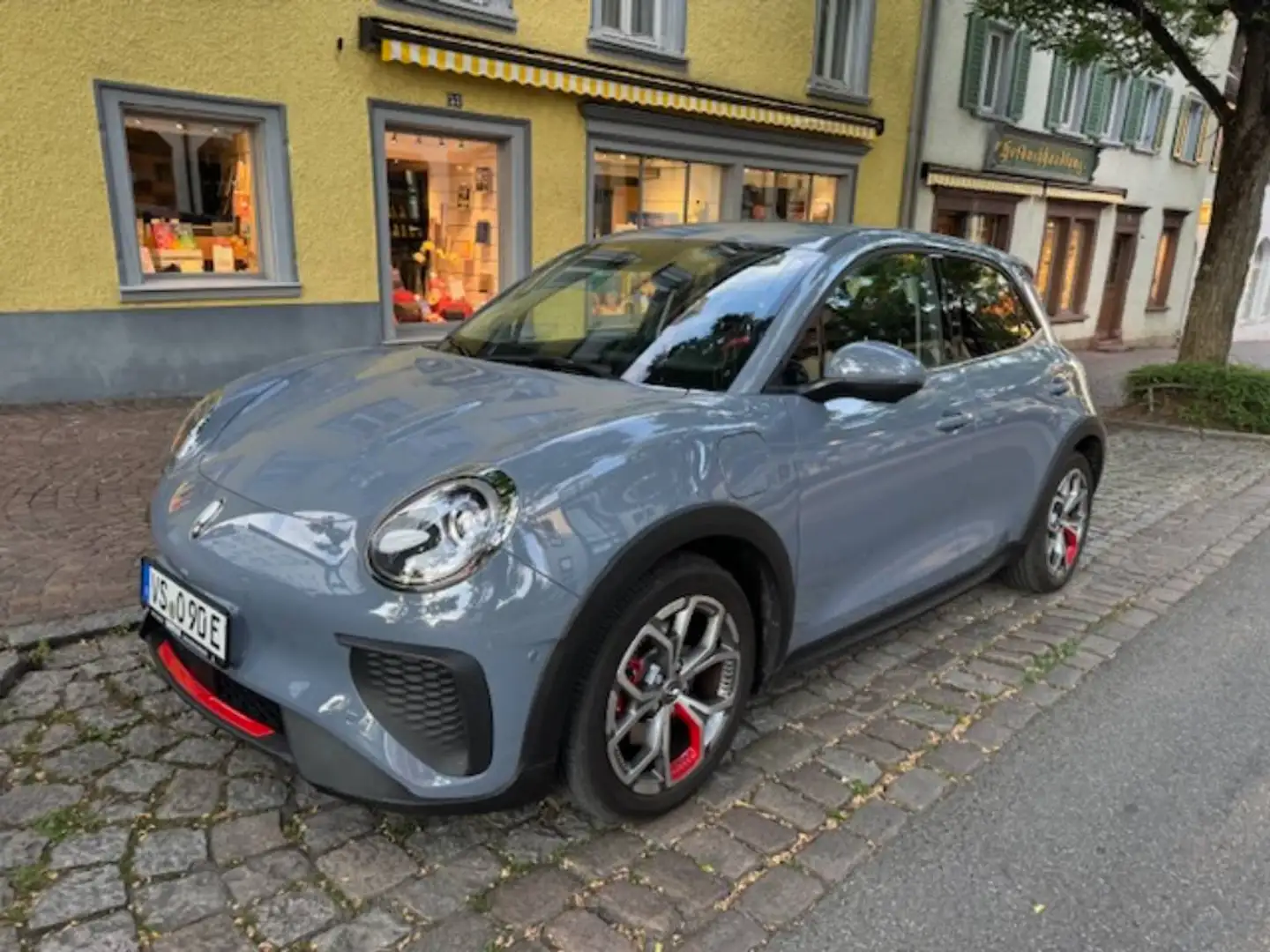 GWM ORA 400 GT siva - 1