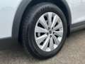 SEAT Arona 1,0 TSI Style DSG LED+SHZ+8fach Weiß - thumbnail 6