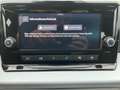 SEAT Arona 1,0 TSI Style DSG LED+SHZ+8fach Weiß - thumbnail 17