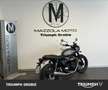 Triumph Street Twin Gri - thumbnail 2