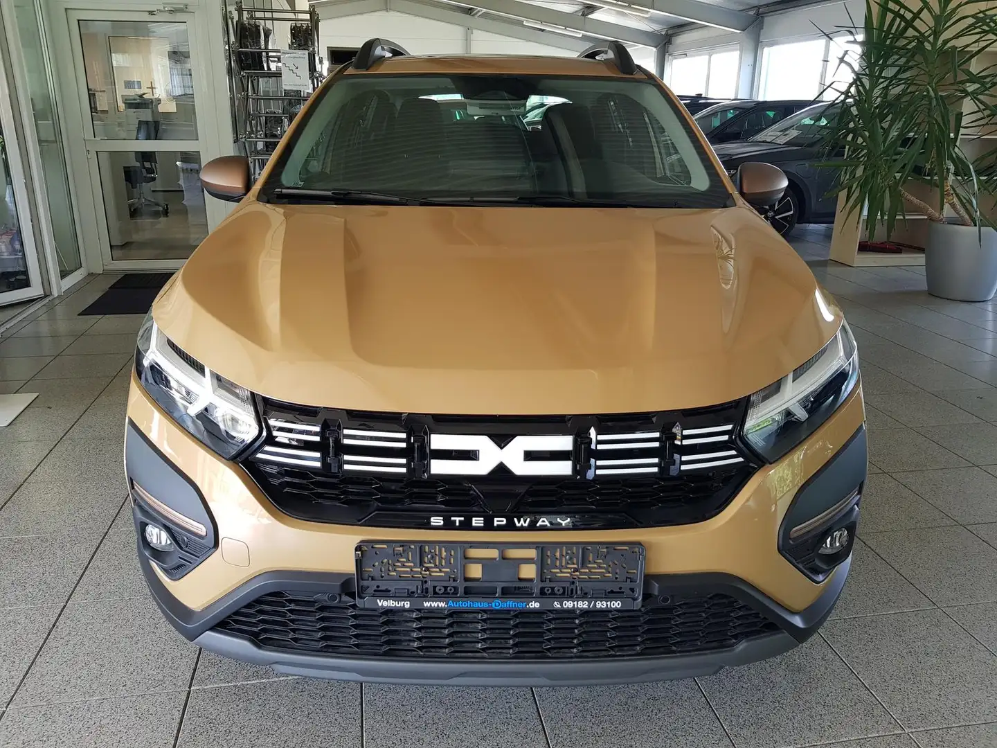 Dacia Sandero Stepway TCE  Kamera SmartLink Bluet.PDC Beige - 2