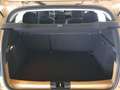 Dacia Sandero Stepway TCE  Kamera SmartLink Bluet.PDC Beige - thumbnail 17