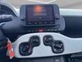 Fiat Panda Pandina 1.0 firefly hybrid s&s 70cv Rosso - thumbnail 12