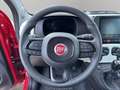 Fiat Panda Pandina 1.0 firefly hybrid s&s 70cv Rosso - thumbnail 10