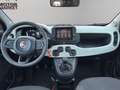 Fiat Panda Pandina 1.0 firefly hybrid s&s 70cv Rosso - thumbnail 13