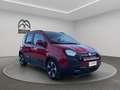 Fiat Panda Pandina 1.0 firefly hybrid s&s 70cv Rosso - thumbnail 3