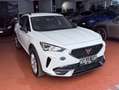 CUPRA Formentor 2.0 TDI 150cv 4Drive 4x4 DSG *PREZZO REALE* Bianco - thumbnail 3