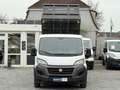 Fiat Ducato DUCATO MAXI DoKa DREISEITENKIPPER KLIMA SHZ NAVI Weiß - thumbnail 10