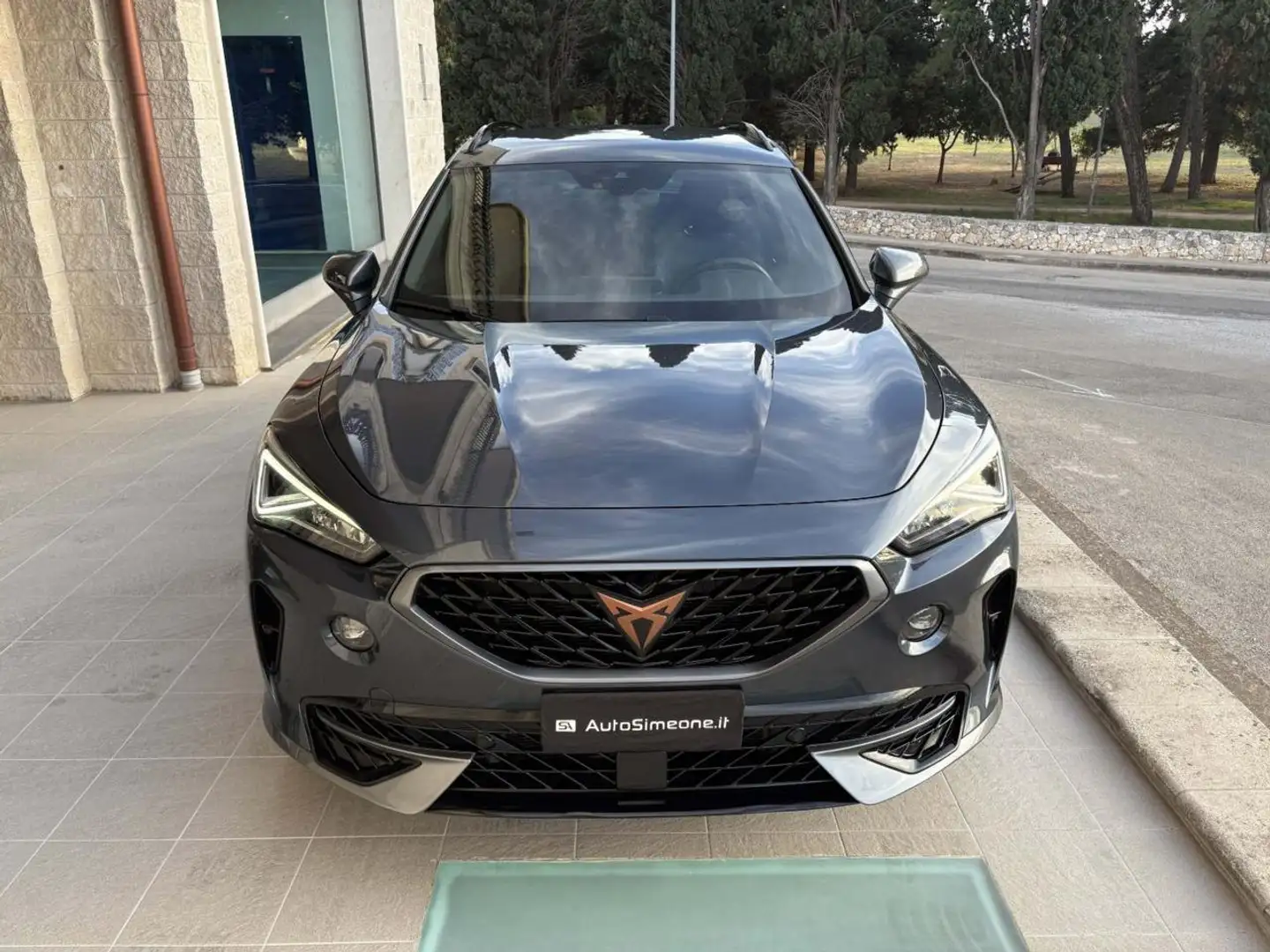 CUPRA Formentor 2.0 TDI 150 CV 4Drive DSG Grigio - 2