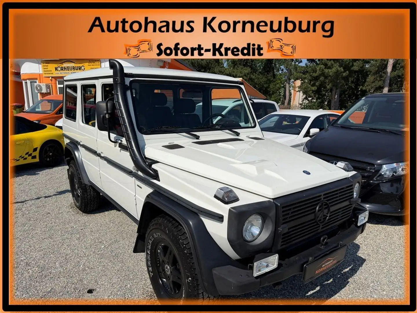 Mercedes-Benz G 300 CDI Professional*1.Besitz*Standheizung*AHV*ALLRAD* Weiß - 1