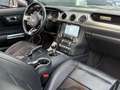 Ford Mustang 2.3 EcoBoost 290CV ACC COCKPIT GPS CAMERA LED FULL Grijs - thumbnail 12