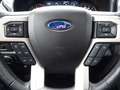 Ford F 150 Platinum 3.5 V6 LPG 4X4 Klima Nav 272KW E6 Bílá - thumbnail 14