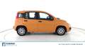 Fiat New Panda 1.0 FireFly Hybrid Arancione - thumbnail 3