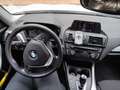 BMW 118 118d 5p Sport Bianco - thumbnail 6